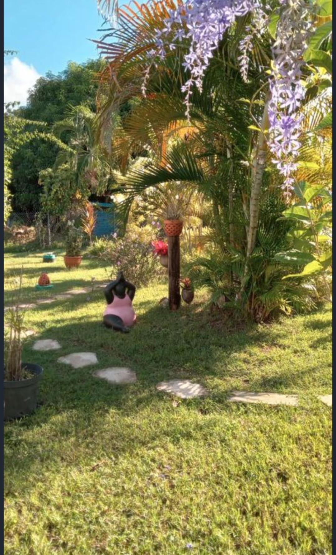 Gîte Cajou dans Domaine Tropical ventilé à Sainte-Anne Exterior foto