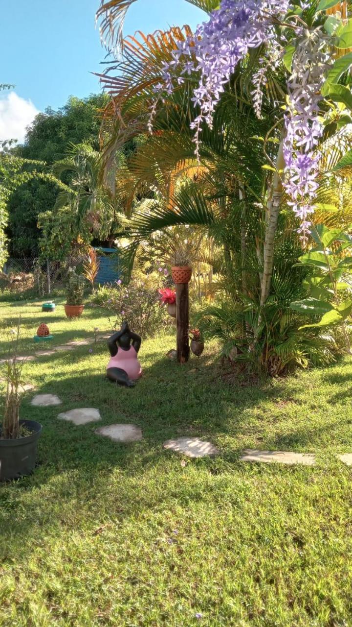 Gîte Cajou dans Domaine Tropical ventilé à Sainte-Anne Exterior foto